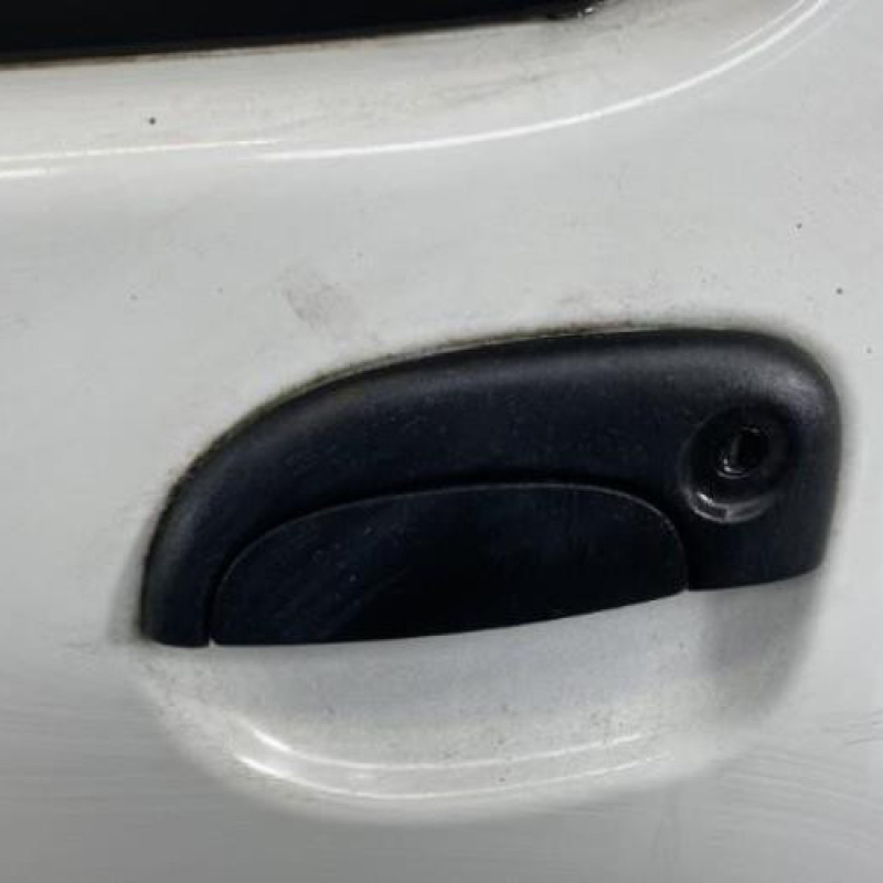 Porte avant gauche RENAULT KANGOO 1 Photo n°2