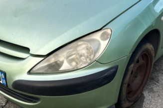 Debitmetre PEUGEOT 307