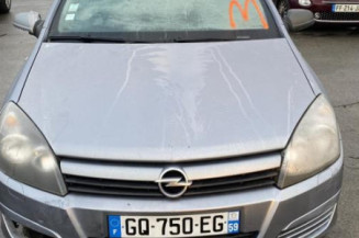 Porte arriere gauche OPEL ASTRA H