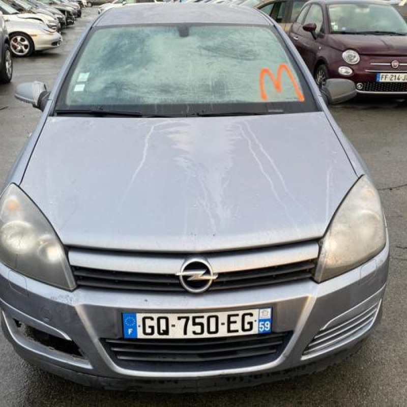 Porte arriere gauche OPEL ASTRA H Photo n°9