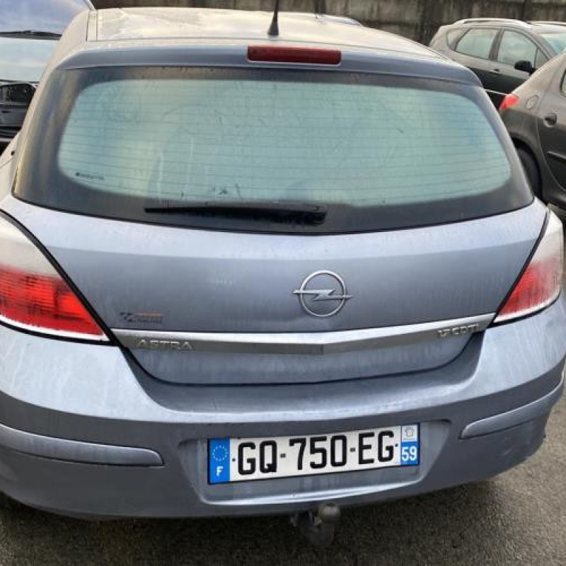 Porte arriere gauche OPEL ASTRA H Photo n°14