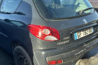 Capot PEUGEOT 206+