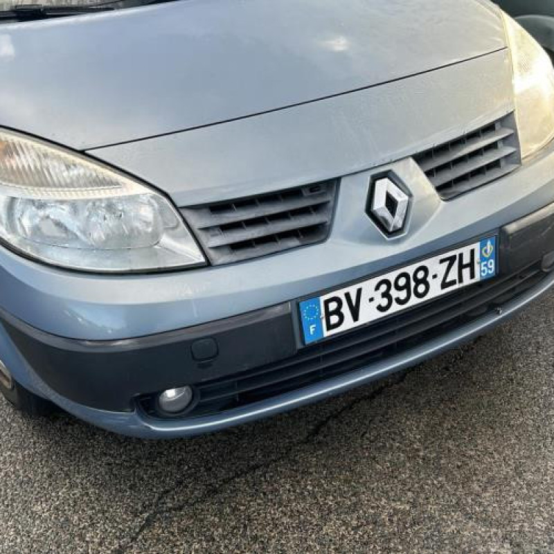 Porte avant droit RENAULT SCENIC 2 Photo n°9