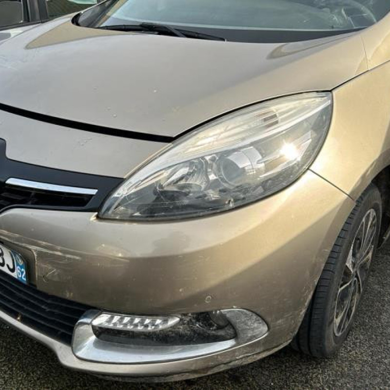 Bouton de coffre RENAULT GRAND SCENIC 3 Photo n°7