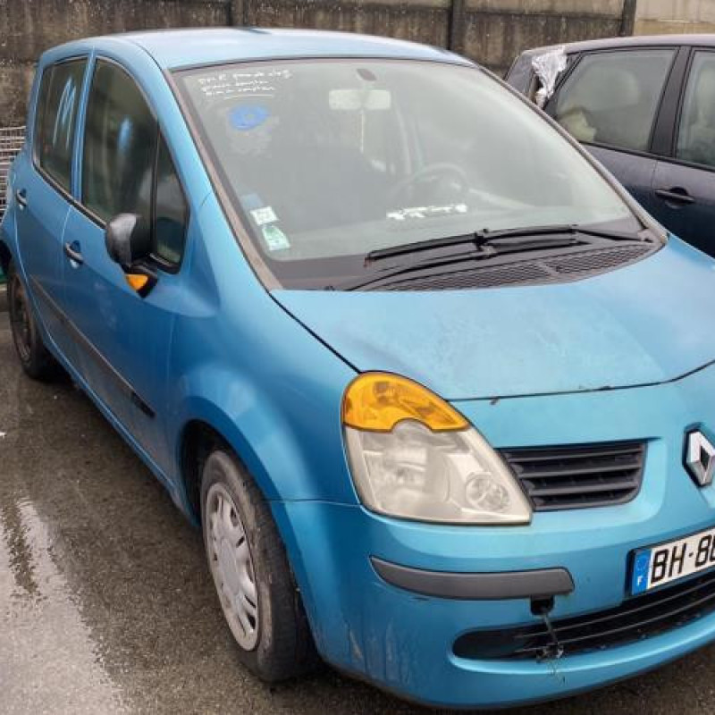 Porte arriere droit RENAULT MODUS Photo n°6