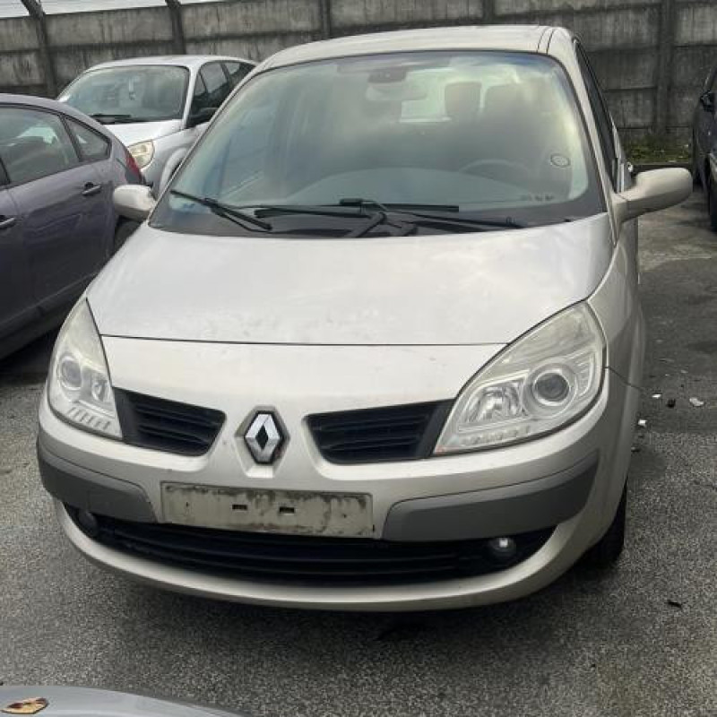 Porte avant droit RENAULT SCENIC 2 Photo n°6