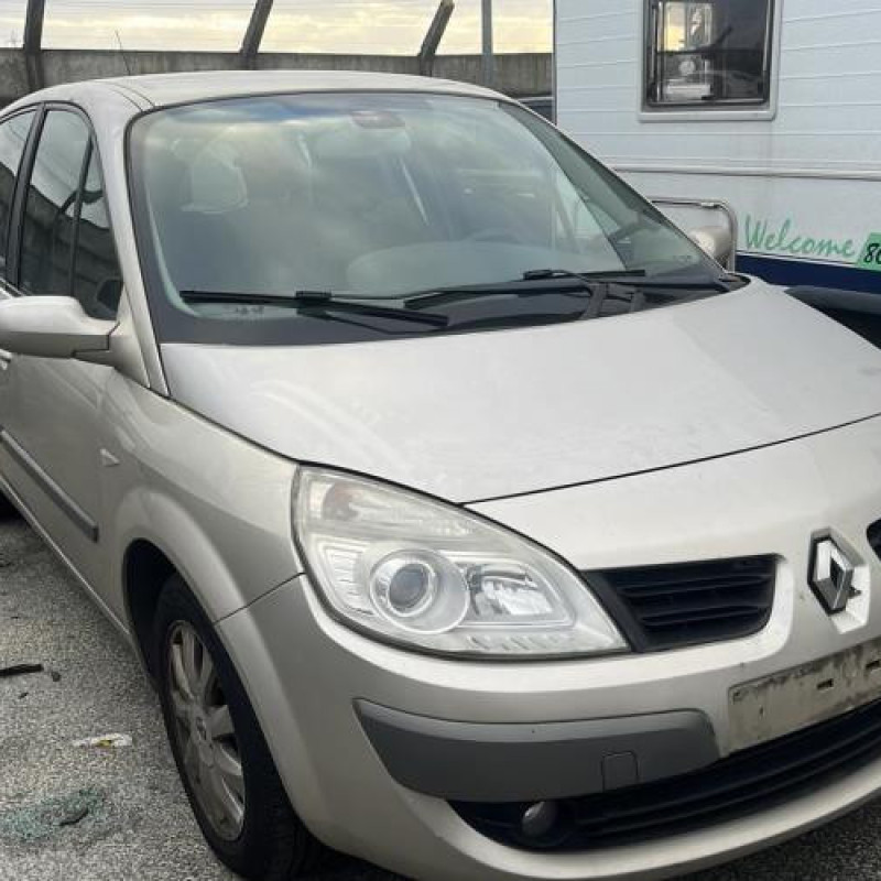 Porte avant droit RENAULT SCENIC 2 Photo n°8