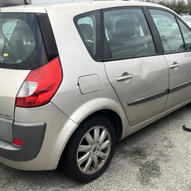 Porte avant droit RENAULT SCENIC 2 Photo n°9