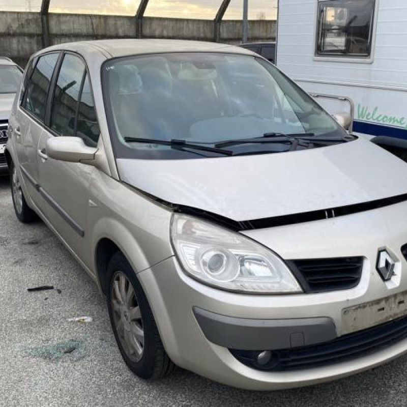 Porte avant droit RENAULT SCENIC 2 Photo n°17