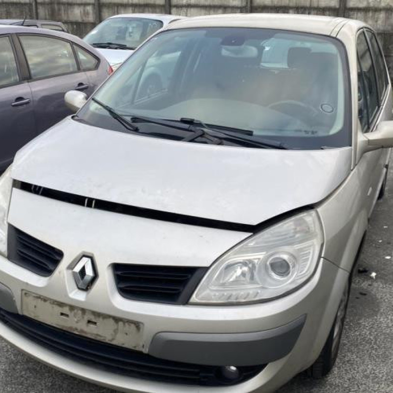 Porte avant droit RENAULT SCENIC 2 Photo n°18