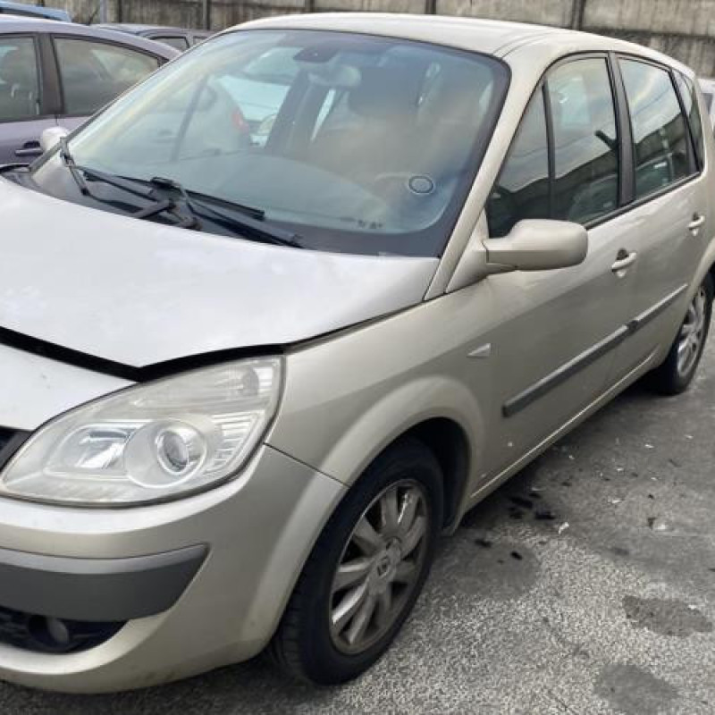 Porte avant droit RENAULT SCENIC 2 Photo n°19