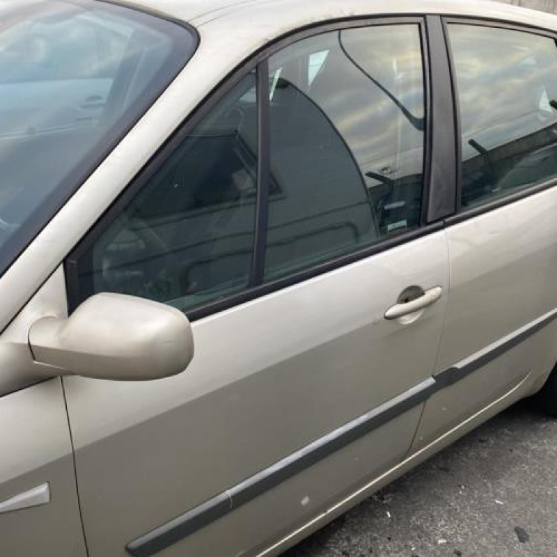 Porte avant droit RENAULT SCENIC 2 Photo n°20