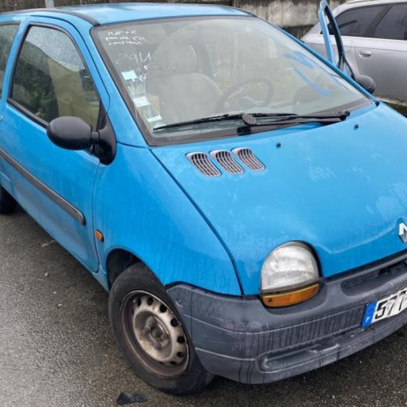 Porte avant gauche RENAULT TWINGO 1 Photo n°6