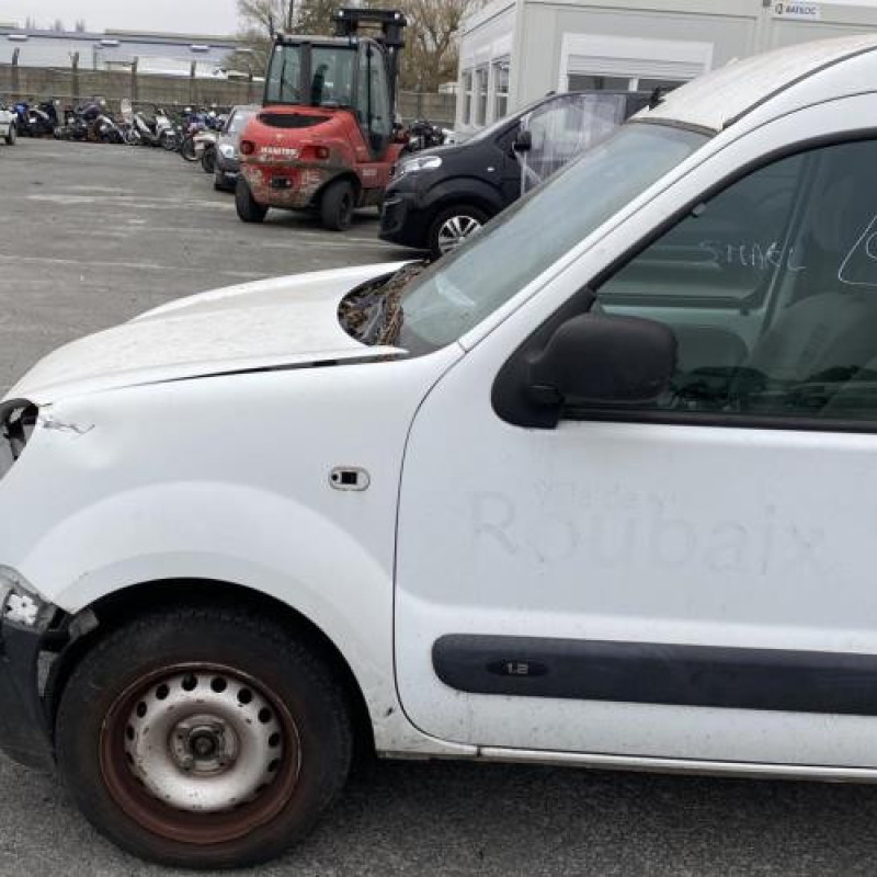 Poignee interieur avant gauche RENAULT KANGOO 1 Photo n°10