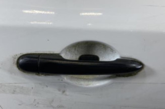 Porte arriere droit RENAULT MEGANE 3