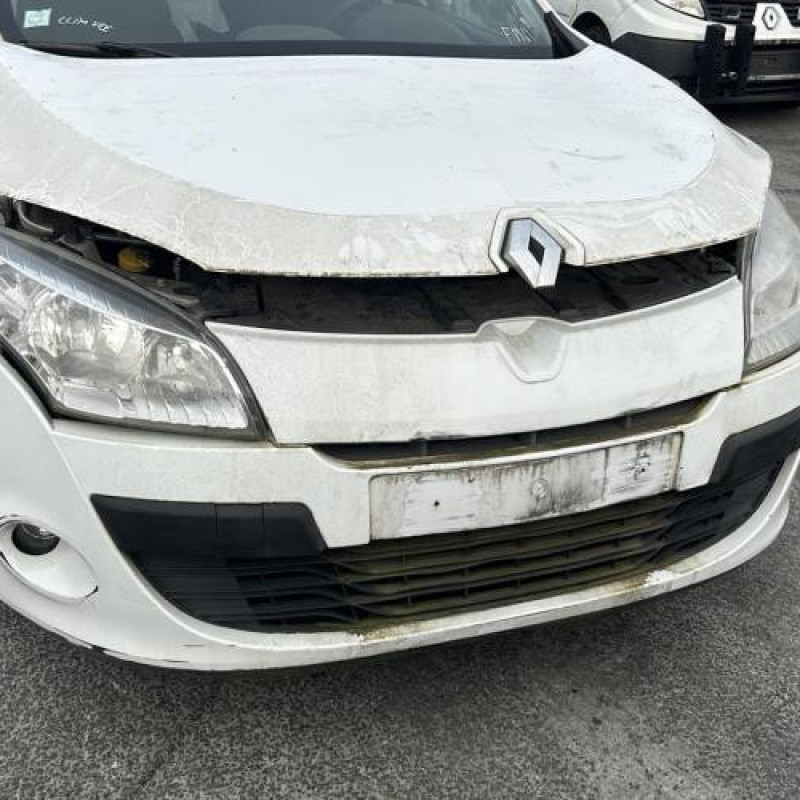 Porte arriere droit RENAULT MEGANE 3 Photo n°9