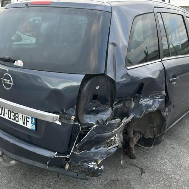 Poignee porte arriere gauche OPEL ZAFIRA B Photo n°10