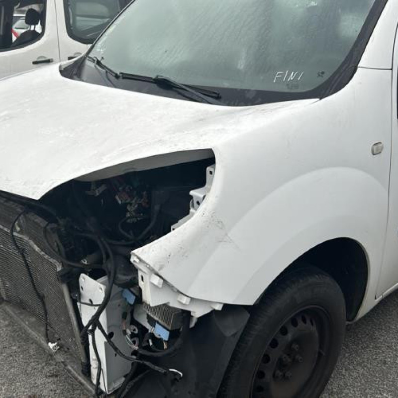 Custode arriere gauche RENAULT KANGOO 2 Photo n°8