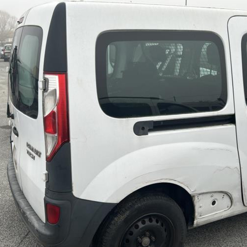 Custode arriere gauche RENAULT KANGOO 2 Photo n°11