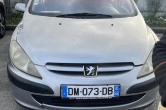 Debitmetre PEUGEOT 307