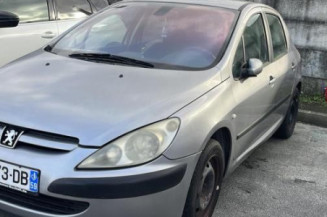 Debitmetre PEUGEOT 307