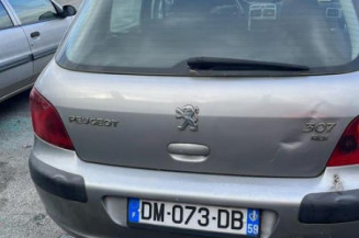 Debitmetre PEUGEOT 307