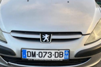 Debitmetre PEUGEOT 307