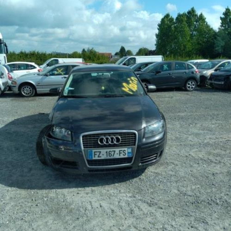 Porte avant droit AUDI A3 2 Photo n°7