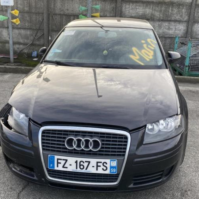 Porte avant droit AUDI A3 2 Photo n°19