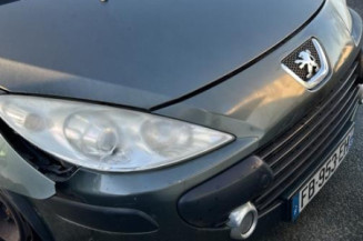 Malle/Hayon arriere PEUGEOT 307