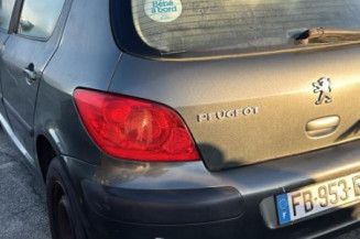 Pare boue arriere droit PEUGEOT 307