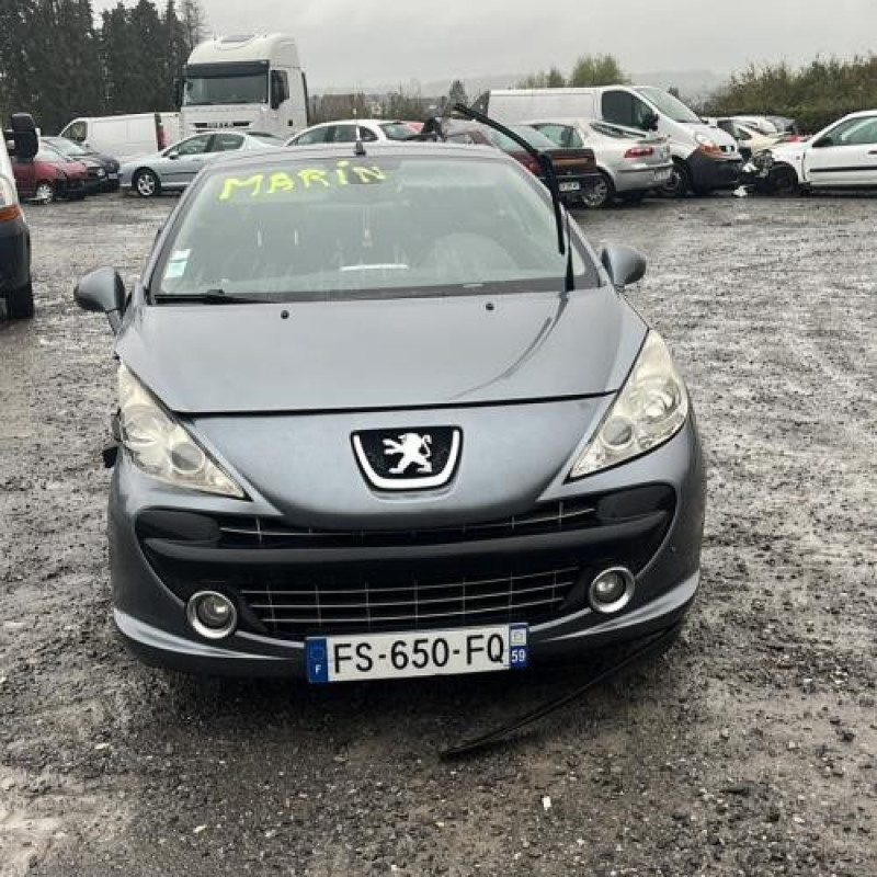 Custode arriere droit PEUGEOT 207 Photo n°6