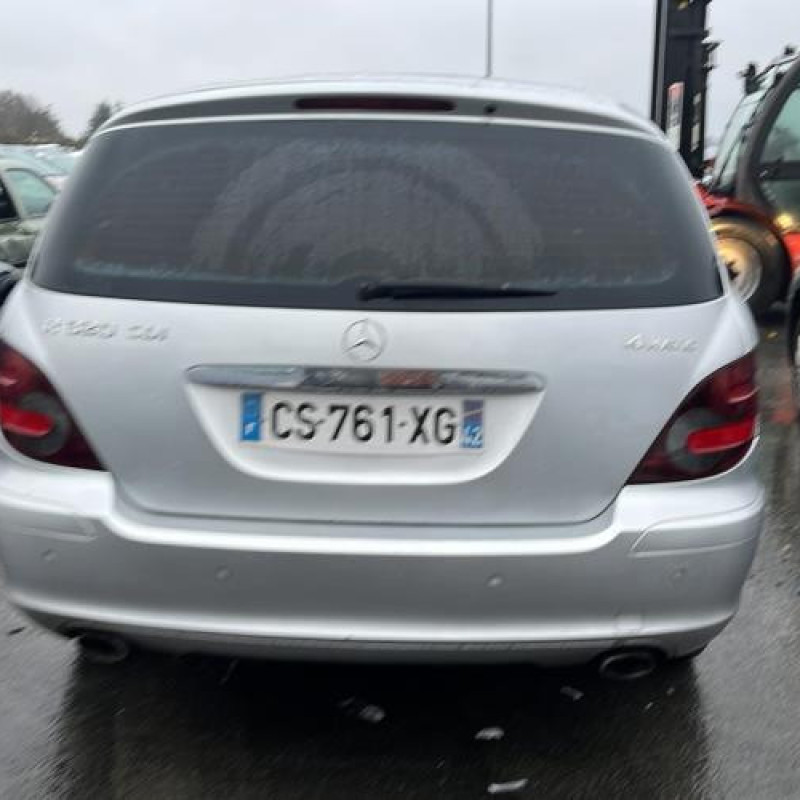 Porte avant droit MERCEDES CLASSE R 251 Photo n°13