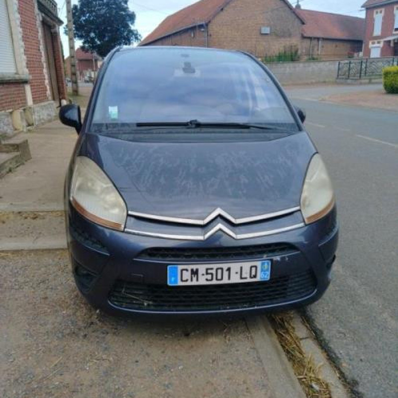 Porte avant droit CITROEN C4 PICASSO 1 Photo n°17