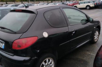 Debitmetre PEUGEOT 206