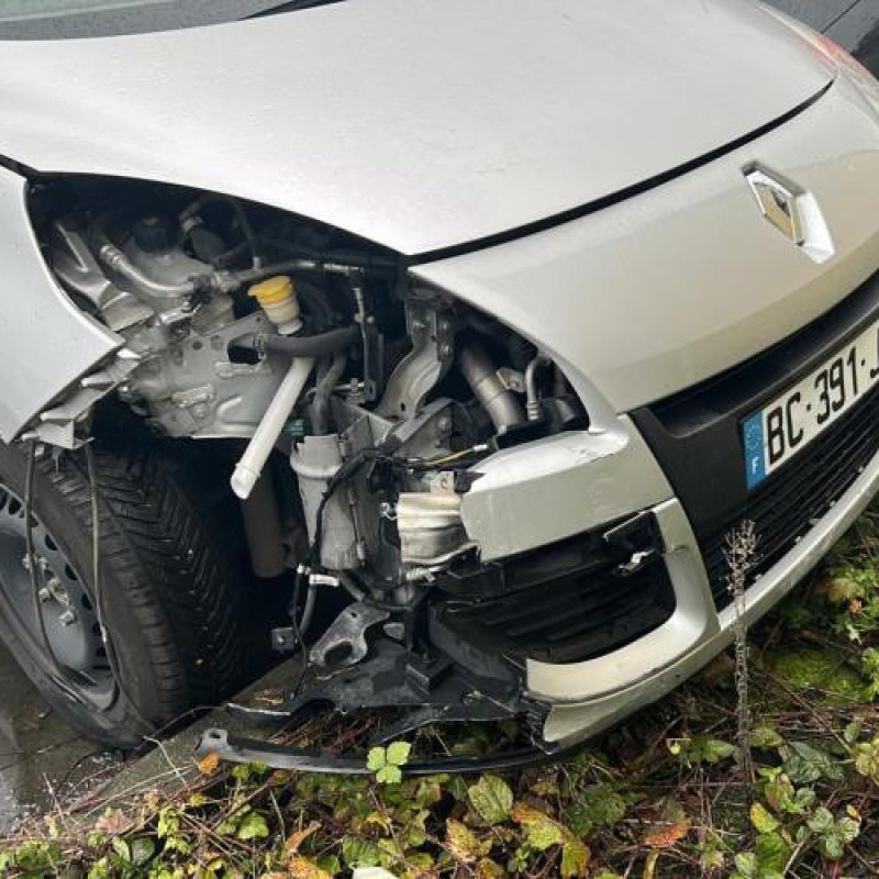 Feu arriere principal gauche (feux) RENAULT SCENIC 3 Photo n°17