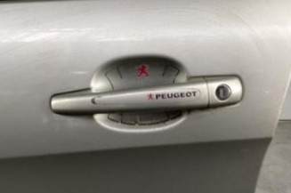 Porte avant gauche PEUGEOT 308 1