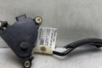 Pedalier d'accelerateur RENAULT SCENIC 2