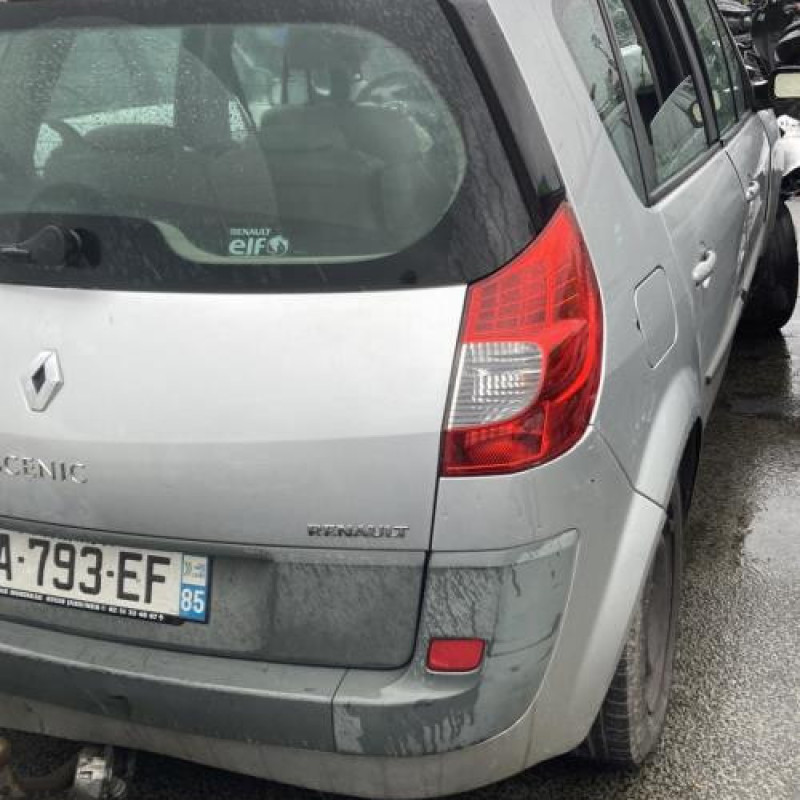 Pedalier d'accelerateur RENAULT SCENIC 2 Photo n°7