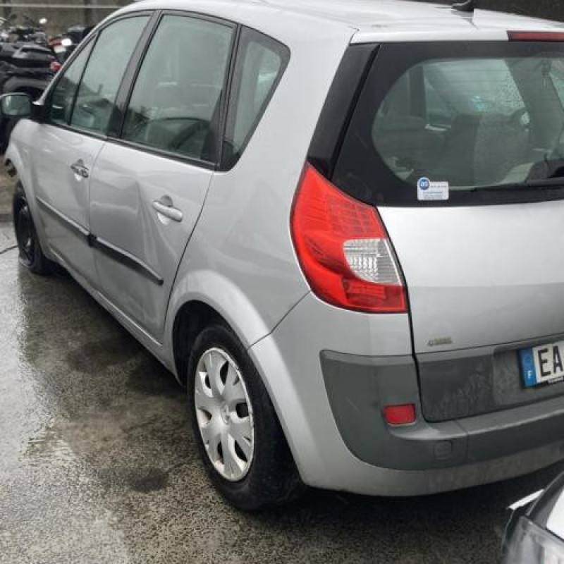 Pedalier d'accelerateur RENAULT SCENIC 2 Photo n°8