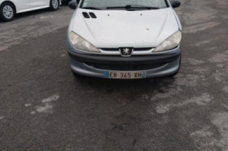 Porte avant gauche PEUGEOT 206