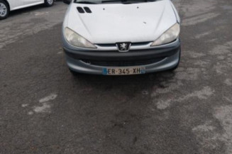 Porte avant gauche PEUGEOT 206