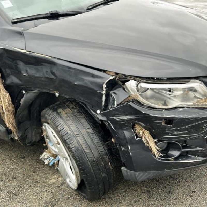 Custode arriere gauche VOLKSWAGEN TIGUAN 1 Photo n°6