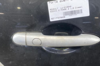 Porte arriere droit RENAULT SCENIC 2