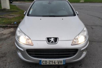 Cremaillere assistee PEUGEOT 407