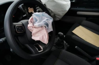 Poignee interieur avant gauche CITROEN C3 3