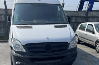 Custode avant gauche (porte) MERCEDES SPRINTER 2