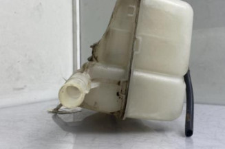 Vase d'expansion RENAULT SCENIC 4