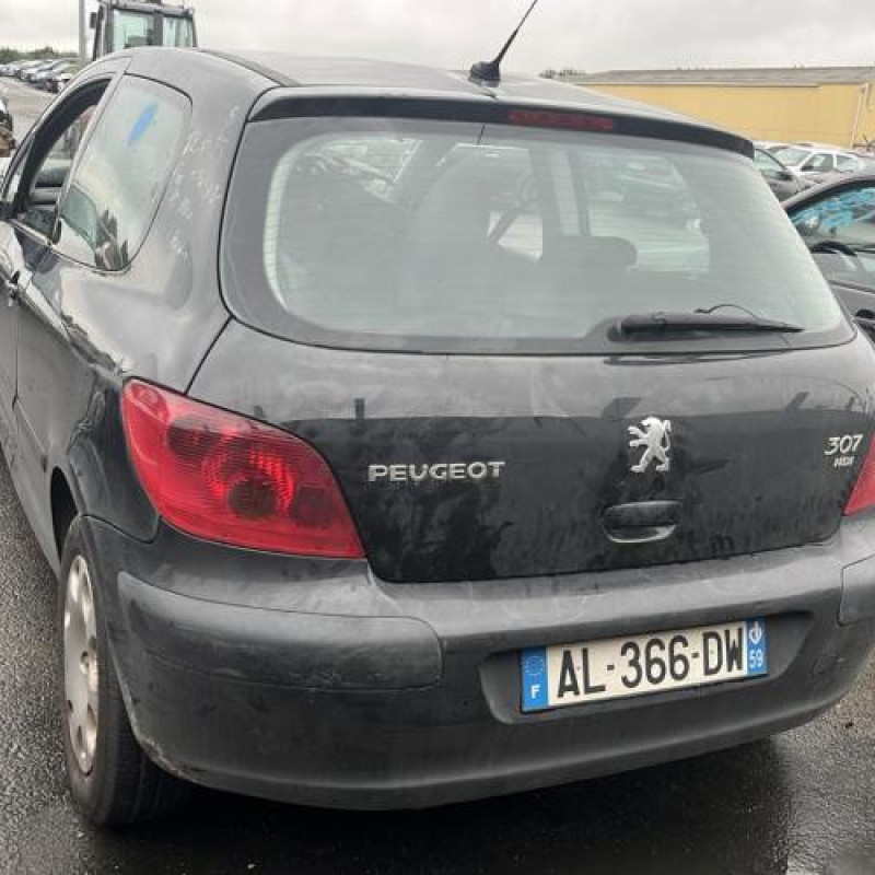 Custode arriere droit PEUGEOT 307 Photo n°9