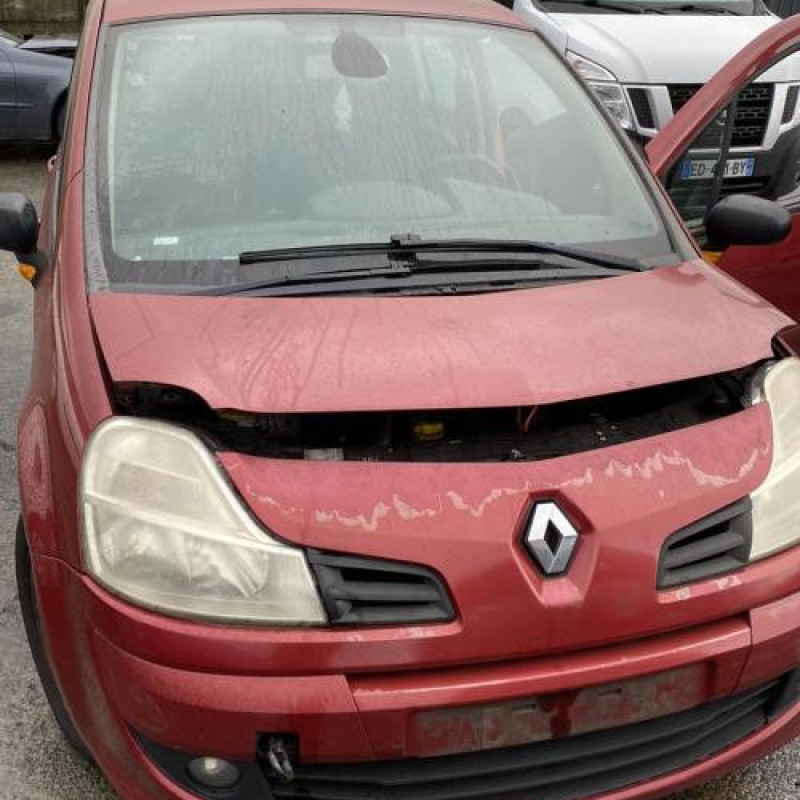 Porte arriere droit RENAULT MODUS Photo n°9